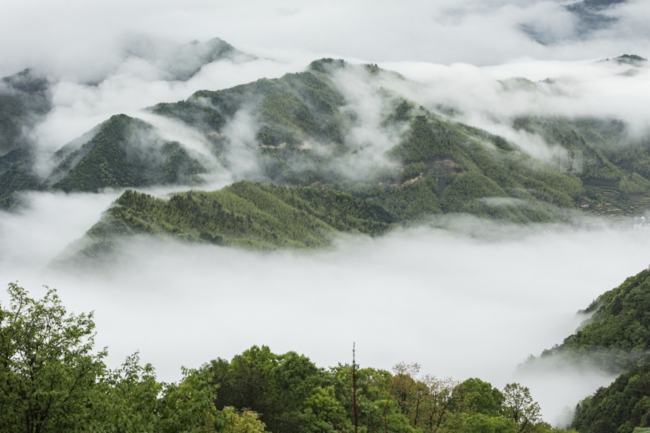 黄山白际风光