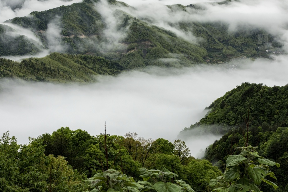 黄山白际风光
